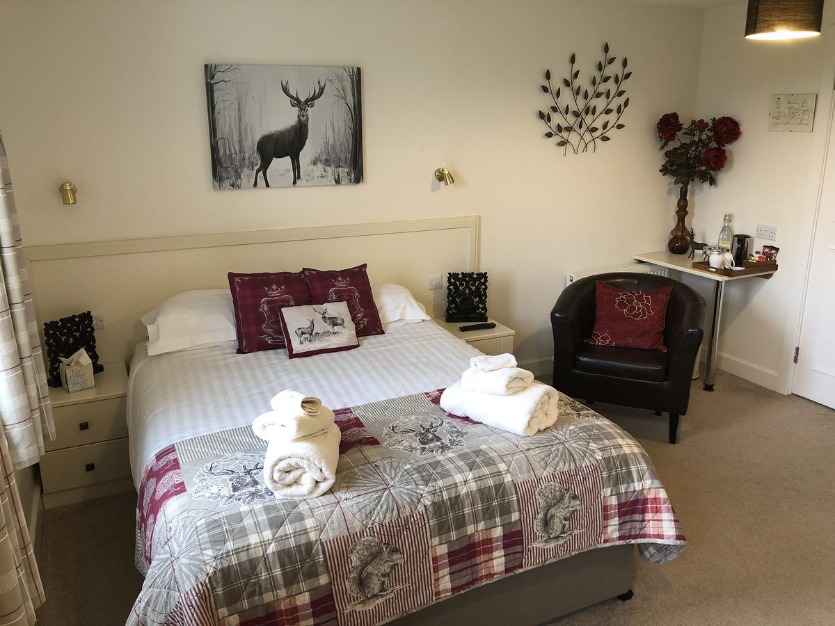 Inn Black Swan